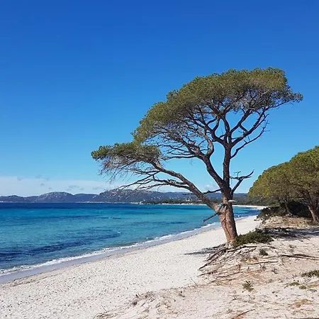 Bel Confortable Et Cosy En Avec Piscine A 5 Mn De La Linguizzetta