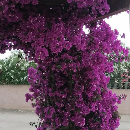 아파트 Bel Confortable Et Cosy En Avec Piscine A 5 Mn De La *