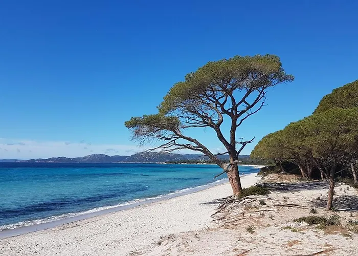 Bel Confortable Et Cosy En Avec Piscine A 5 Mn De La Linguizzetta