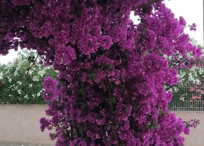 Appartement Bel Confortable Et Cosy En Résidence Avec Piscine à 5 Mn De La *